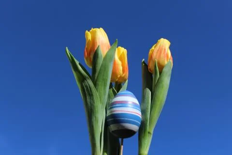 Sunny easter greetings Stock Photos