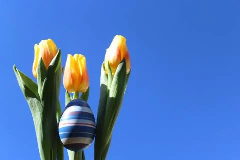 Sunny easter greetings Stock Photos