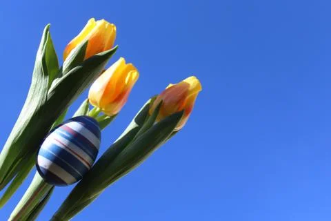 Sunny easter greetings Stock Photos