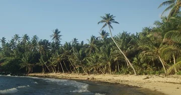 Sunny empty beach at tropical islands with palm trees Stock Footage 86114230
