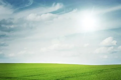 Sunny empty field with copy space Stock Photos