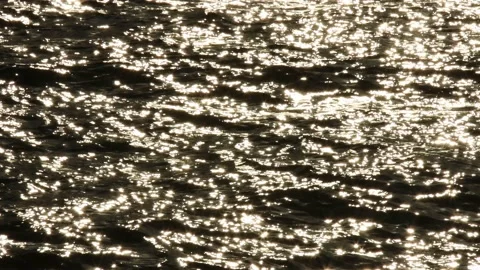 Sunny evening waves in 4k Stock Footage 162995999