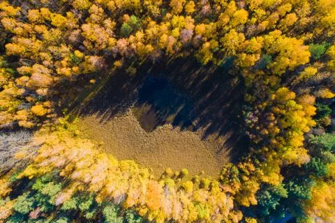 Sunny fall background Foto stock