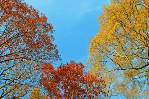 Sunny Fall Day Foto stock