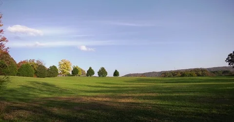 Sunny Field Stock Footage 82087822