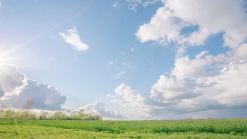Sunny field timelapse Stock Footage 87807977