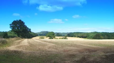 Sunny fields1 Video stock 8849464