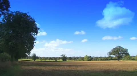 Sunny fields2 Video stock 8849402