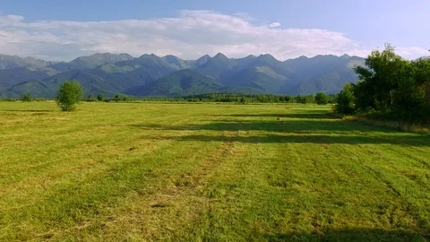 Sunny filed with mountain background Stock Footage 100279677