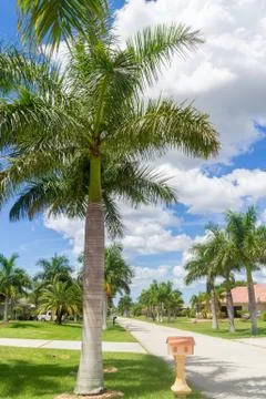 Sunny Florida 스톡 사진