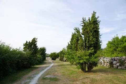 Sunny footpath Stock Photos