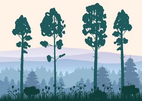 Sunny forest background. Vector illustration of woods in forest in sunlight Stock Illustration