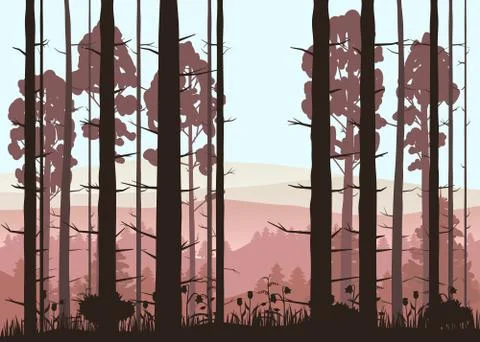 Sunny forest background. Vector illustration of woods in forest in sunlight Stock Illustration