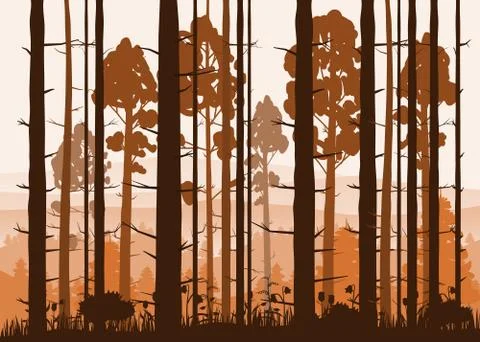 Sunny forest background. Vector illustration of woods in forest in sunlight Stock Illustration