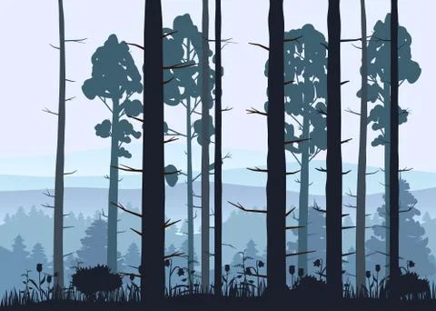 Sunny forest background. Vector illustration of woods in forest in sunlight Stock Illustration