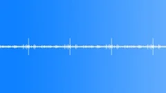 Sunny Forest Birdsong - ambient, background loopSound Effect
