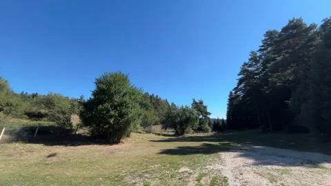 Sunny Forest Camping Area Under Clear Blue Sky in Abant Stock Footage 345520281