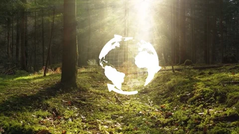 Sunny forest floor with earth globe environments 스톡 동영상 334081909