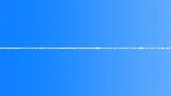 Sunny Forest Meadow - Ambient, Background 01 loop Sound Effect