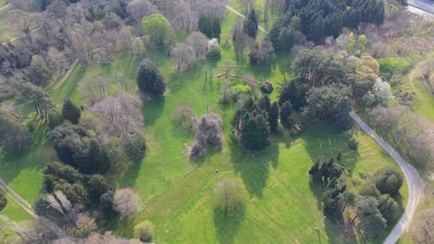 Sunny Forest Meadow Landscape Captured From Smooth Stock Footage 334802840