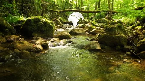 Sunny forest river ecology with 3d earth rotation animation Stock Footage 229931040