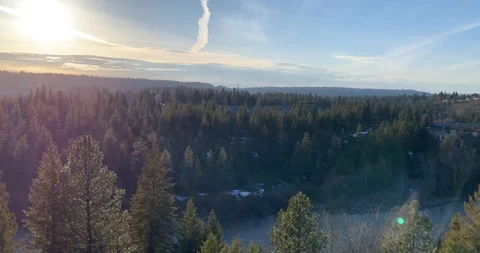 Sunny Forest River Valley Stock Footage 108701213