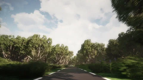 Sunny forest road with clouds Stock Footage 265893489