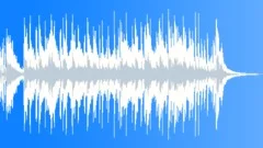 Sunny funk (Stinger)Stock Music