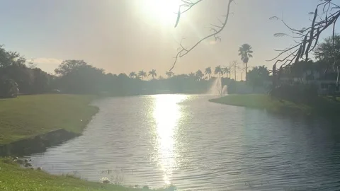 Sunny Glow Vídeos de archivo 245490422