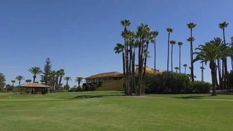 Sunny golf course with palm trees and clubhouse Stock Footage 312516710