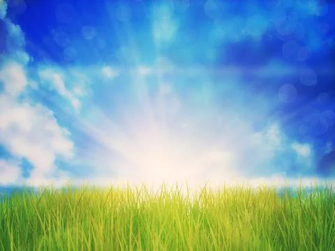 Sunny Grass Field Stock-Illustration