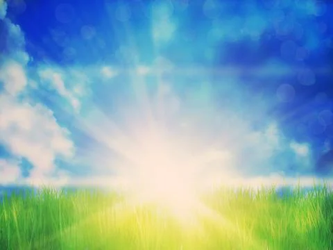 Sunny Grass Field Stock Illustration