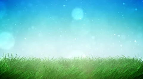 Sunny grass loop Stock Footage 10571261