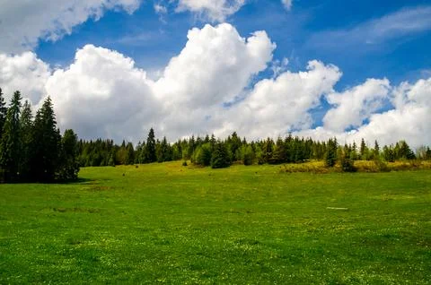 Sunny green meadow under dramatic clouds Stockfoto's