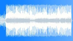 Sunny Hawaii Stock Music
