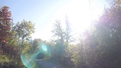 Sunny hiking trail Stock Footage 74070304