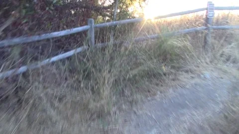Sunny hiking trail Video stock 82663767