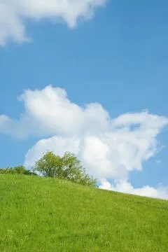 Sunny hill Stock Photos