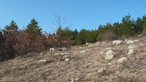 Sunny hillside under clear blue sky. Mount Rtanj Area, Serbia Stock Footage 331281423