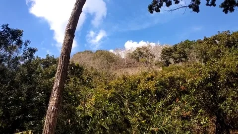 Sunny Hillside View 库存影片 341800101
