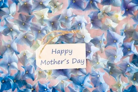 Sunny Hydrangea Flat Lay, Text Happy Mothers Day Stock Photos