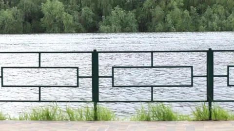 Sunny landscape. Stock Footage 229459926