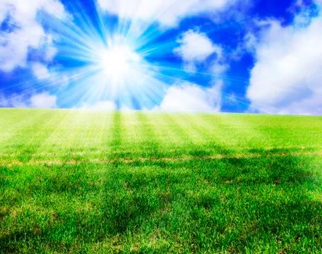Sunny landscape Stock Illustration