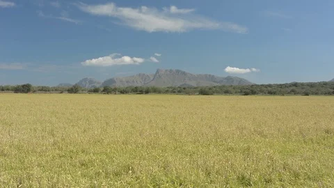 Sunny landscape with mountains Stock Footage 96236320