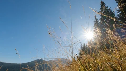Sunny landscape of mountains Stock Footage 121923680