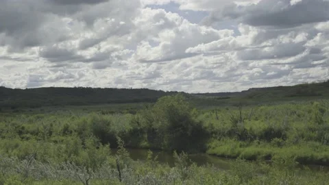 Sunny Landscape Pan Shot Video stock 141089953