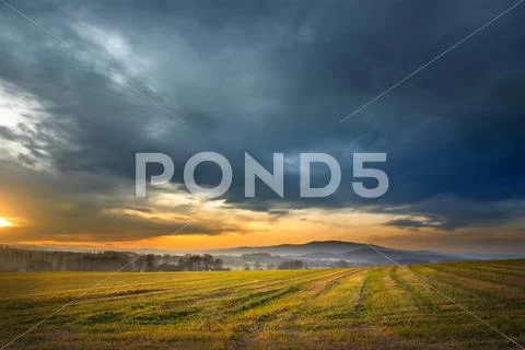 Sunny landscape Stock Photos