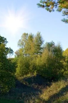 Sunny landscape Stock Photos