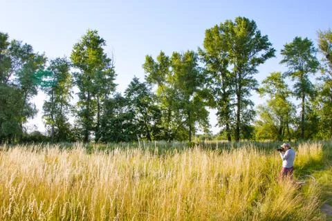 Sunny landscape 스톡 사진