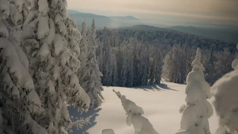 Sunny magic sparkling snowflakes flying outdoors in frosty cold air in winter Stock Footage 324761435